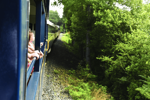 Ride the Blue Ridge Scenic Railway - North Georgia Living