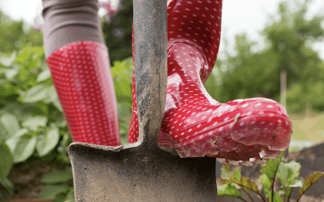 Composting: Feed Your Landscape, Not the Landfill