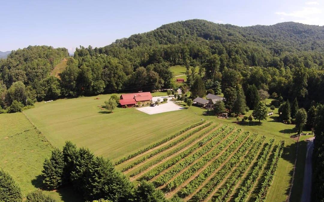 North Georgia Vineyards With Online Wine Delivery