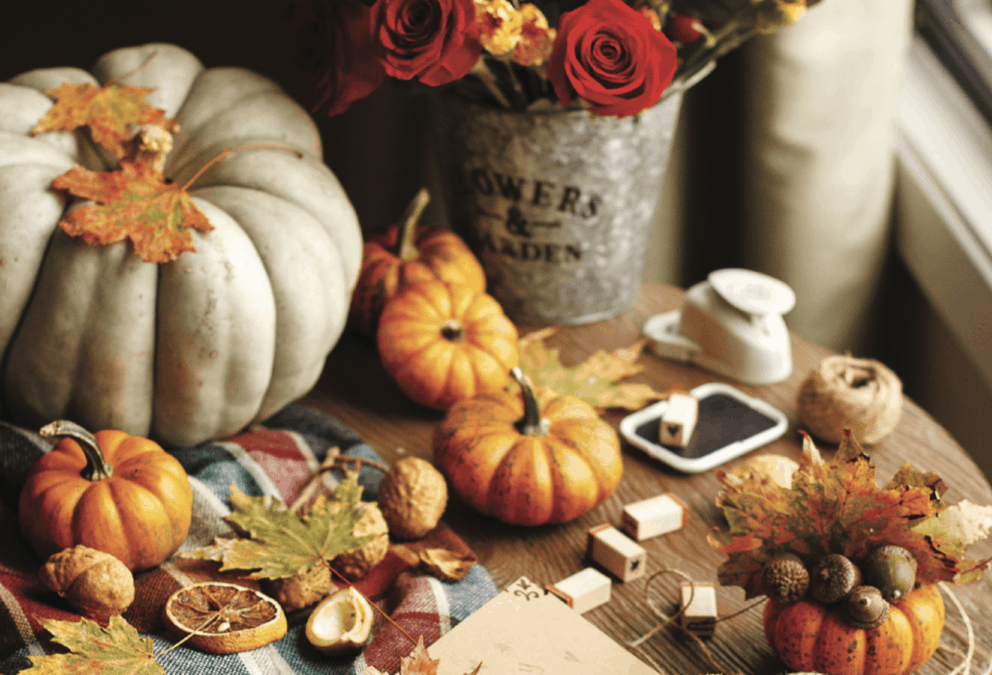 All the Trimmings: Creative Seasonal Decorating Tips from the Experts