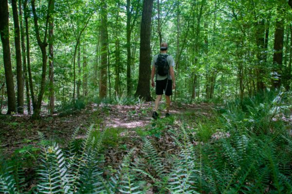 First-Ever Randolph County NC Trail Guide Now Available
