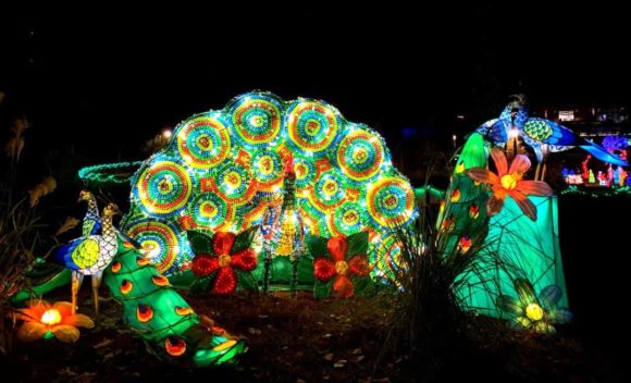 New Chinese Lantern Festival at Zoo Atlanta - North Georgia Living