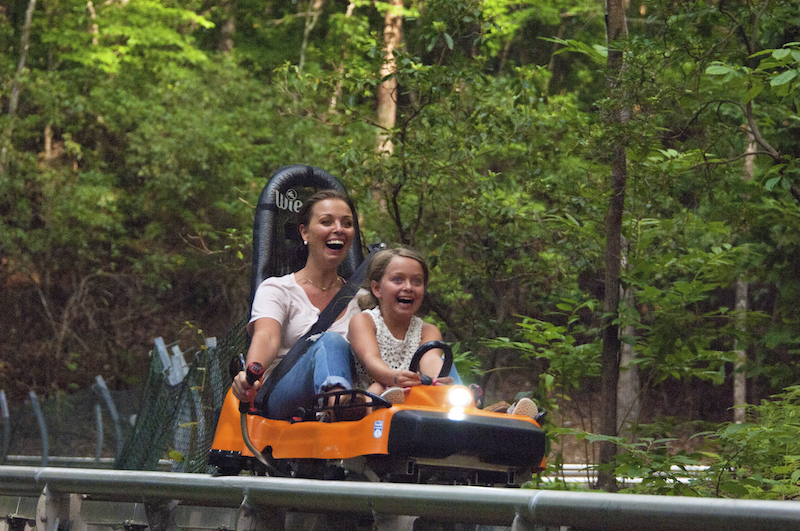 Nature Meets Thrill: Take a Ride this Season on the Georgia Mountain Coaster