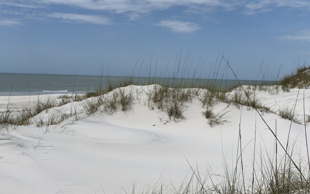 Destination: Visiting Cape San Blas Bliss in Florida’s Gulf County