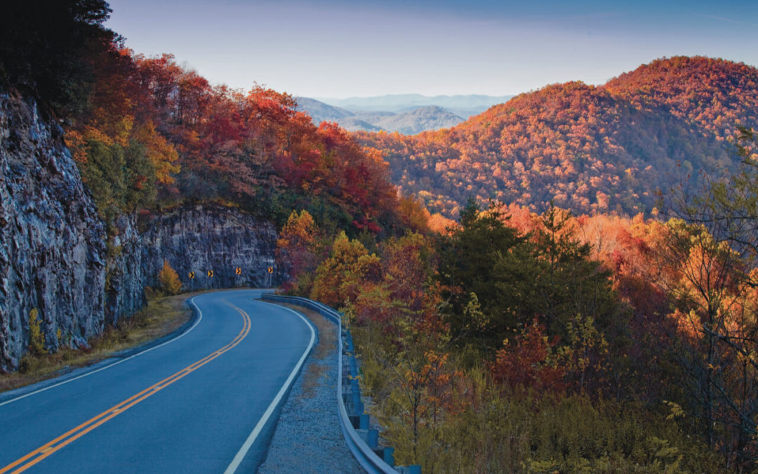 25 of our Favorite Things in North Georgia this Fall ￼