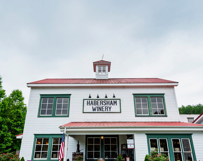 The Top 10 Most Award-Winning Wineries in North Georgia ￼