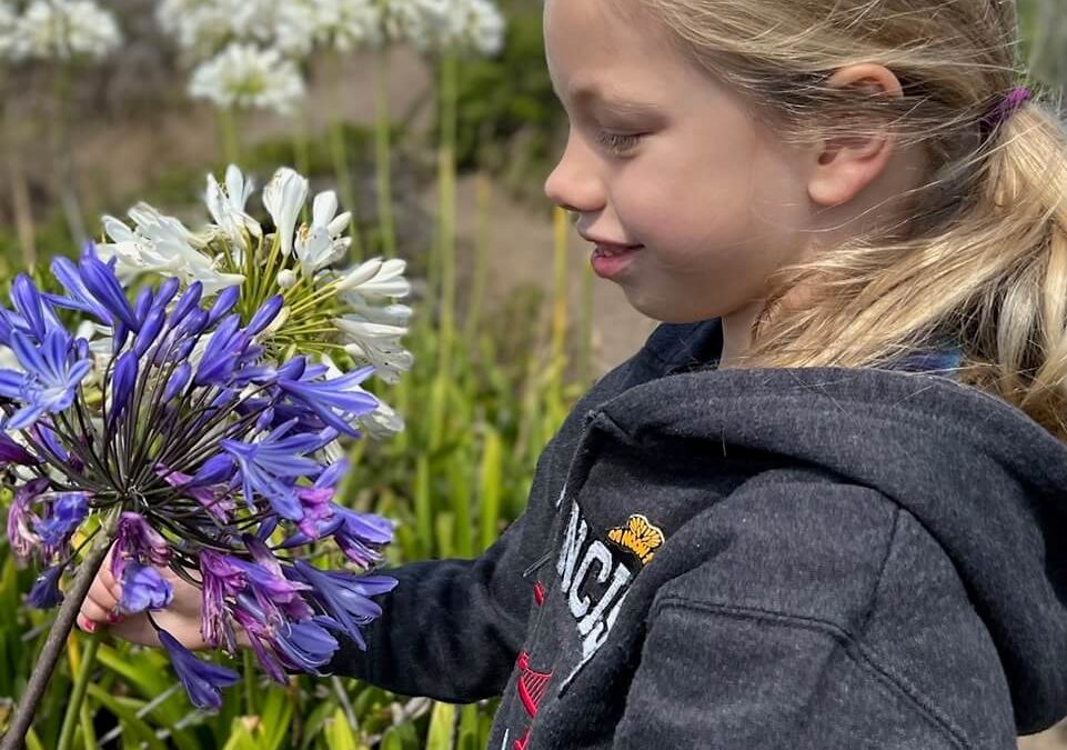 Our Nature Lover’s Guide to the Best Wildflower Displays This Spring